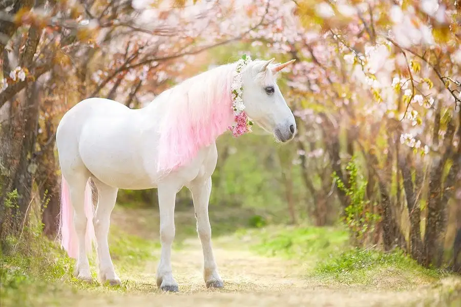 Unicorn Day, unicorn