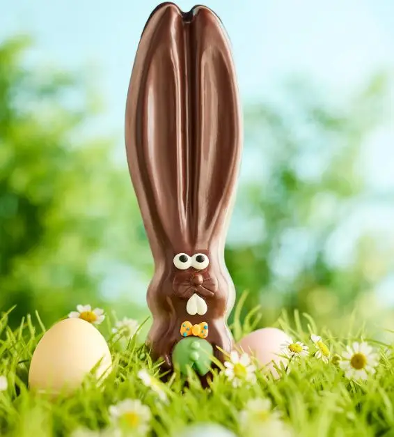 Mr. Ears the Milk Chocolate Easter Bunny