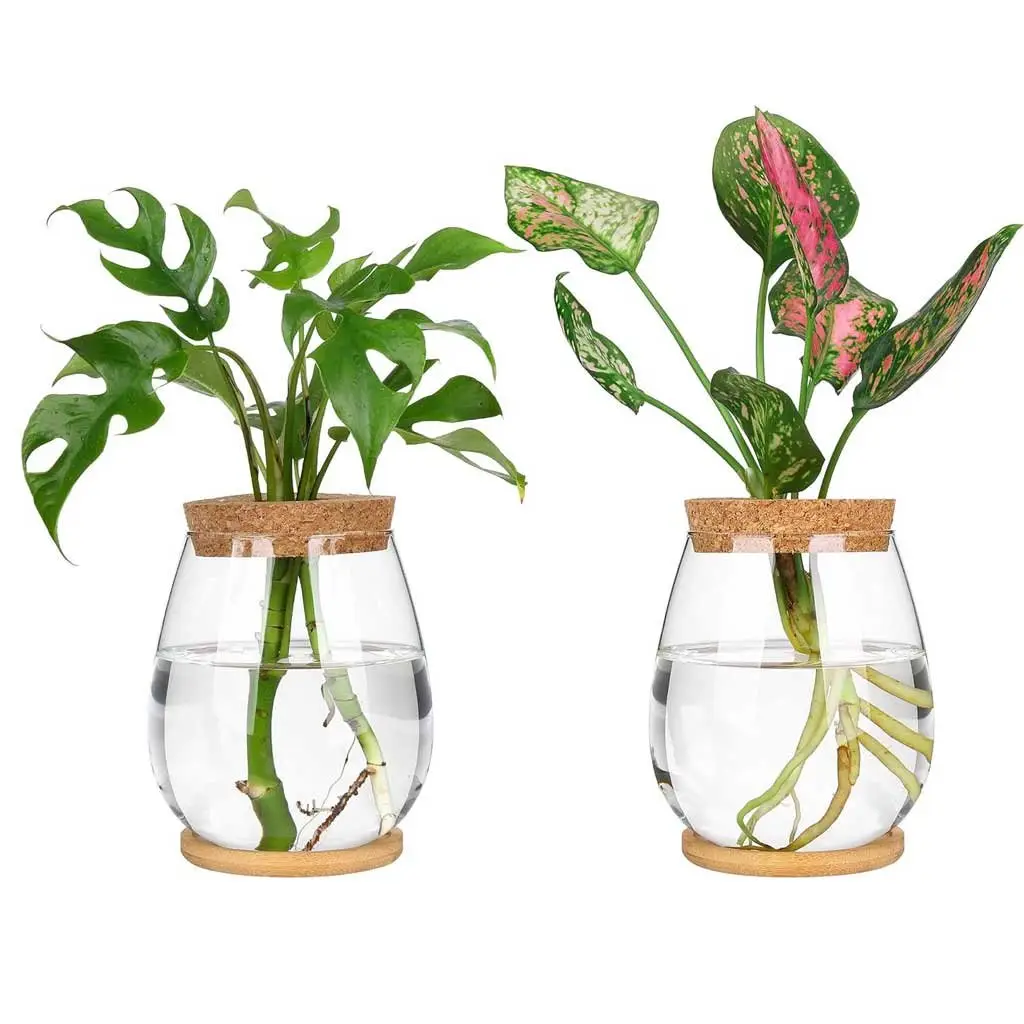 Desktop Planters
