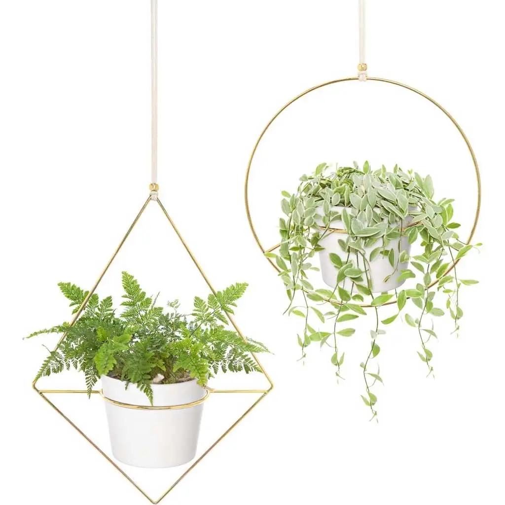 Hanging Planters