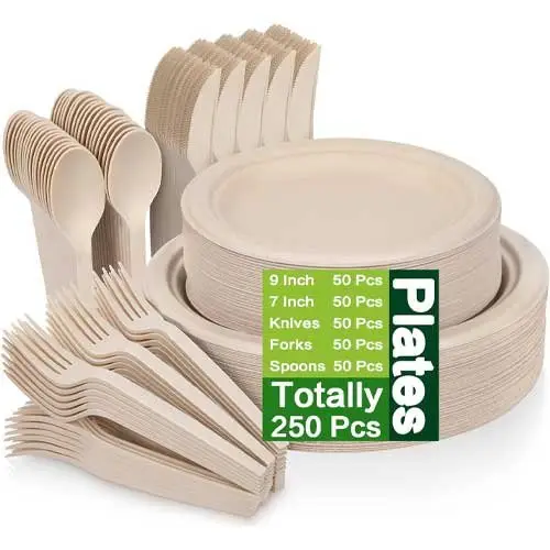 Disposable-Plates-and-Cutlery