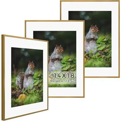 Golden-State-Art-11x14-Metal-Picture-Frames
