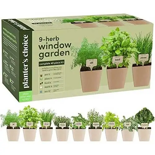 Herb-Window-Garden-Kit-by-Planters'-Choice