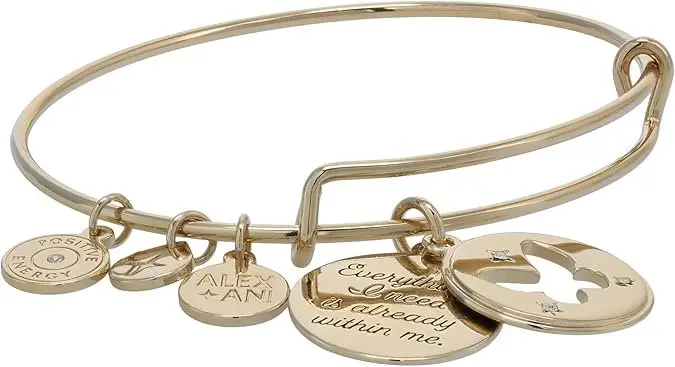 Alex and Ani Strength Charm Bangle