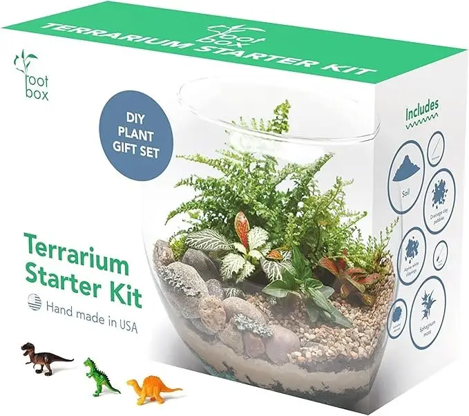 Te rrarium Kit by Root box