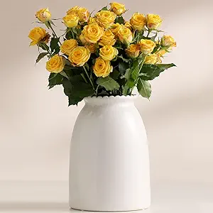 Ceramic Vase in Soft White